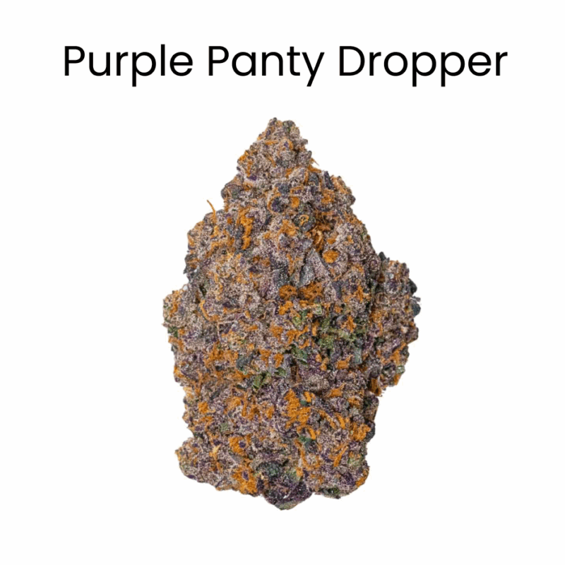 Purple Panty Dropper THCA