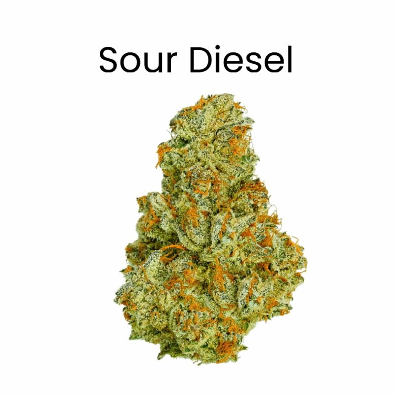 Sour Diesel THCA