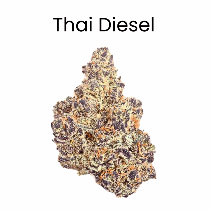 Thai Diesel THCA