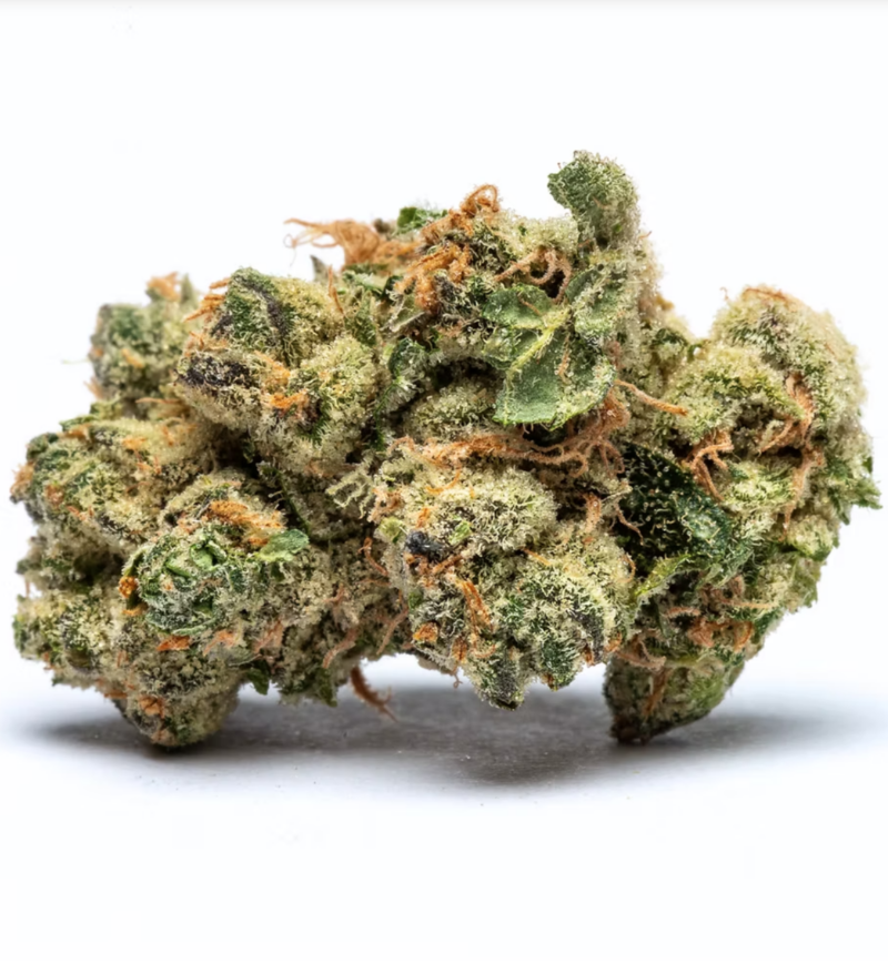 Limoncello THCA Flower | Indoor